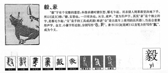 毅字五行属什么