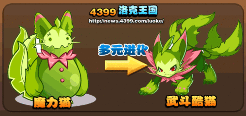 武斗酷猫怎么进化