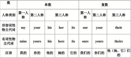 your词性怎么填