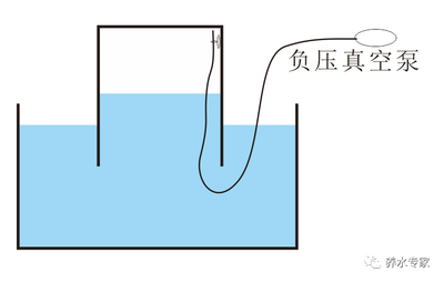 寵物龍魚(yú)多少錢(qián)一條圖片（寵物龍魚(yú)多少錢(qián)一條圖片大全）