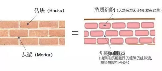干燥环境最容易长痘痘