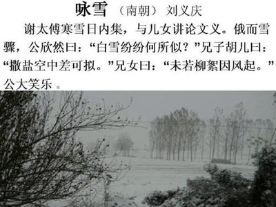 玩有山有雪怎么形容