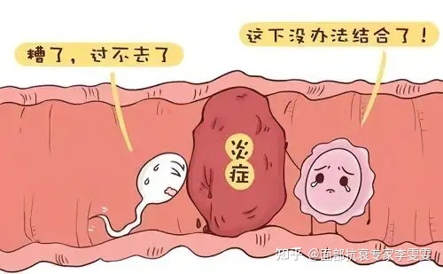 输卵管通而不畅会怀孕吗
