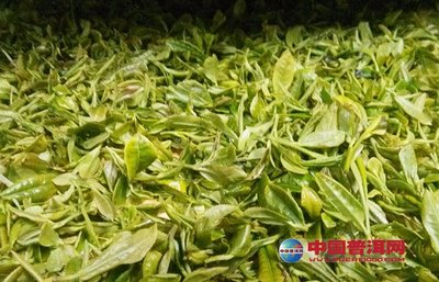 谷花茶是什么茶