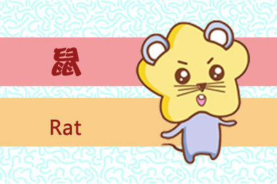 夏是什么生肖