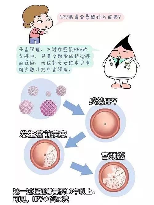 宫颈高危病毒怎么治疗