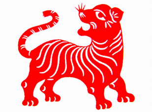 属虎今年犯太岁