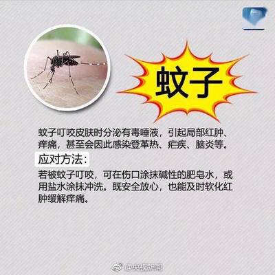 疟疾点疼是怎么回事