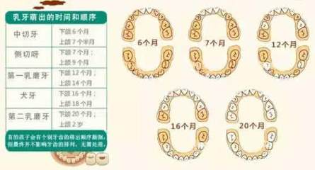 宝宝出牙期