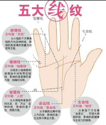 手相没有婚姻线