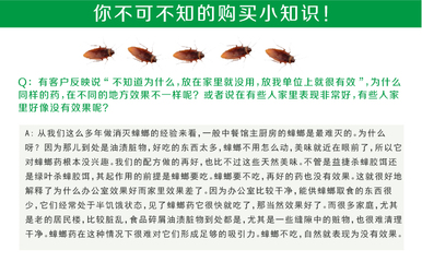 厨房蚂蚁多是什么原因