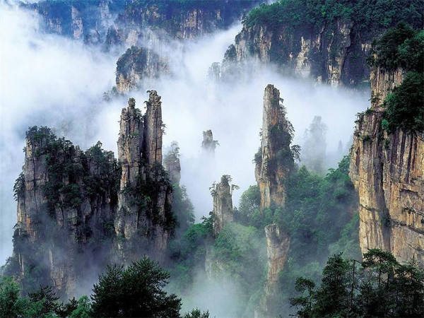 天门山景区需要预约吗