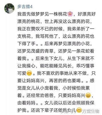 做梦梦见小象