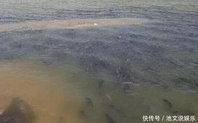 什么样的深水