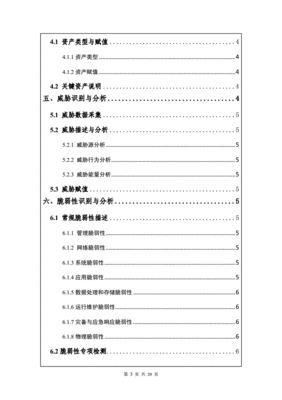 行业安全风险评估报告