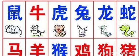 竞选属相才气豪
