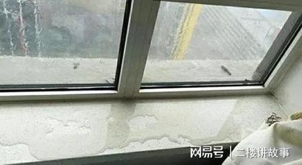 窗户密封条更换