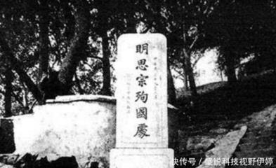 松树的遗书第5题怎么做