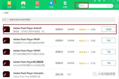 ativex播放插件