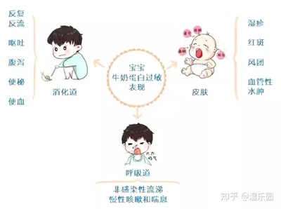宝宝蛋白质过敏症状