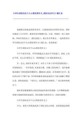 小学生消防心得体会300字作文怎么写
