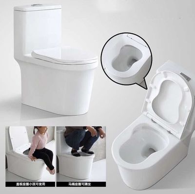 蹲坐马桶