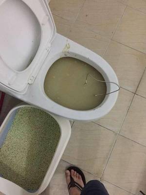 马桶堵了图片