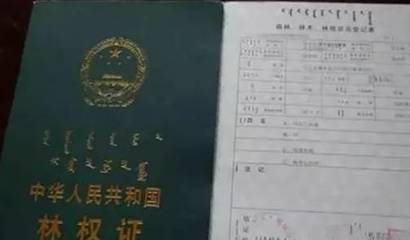 房产证是土地使用证吗