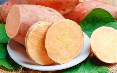 一岁宝宝能吃红薯吗