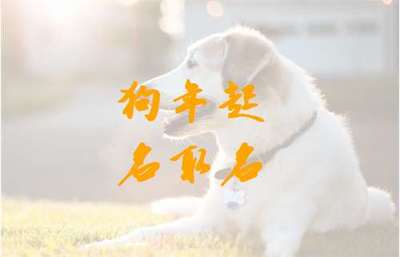 属狗的男孩名字