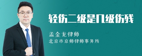 轻伤二级属于几级伤残