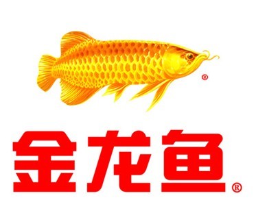 20厘米的魚缸 水族問答