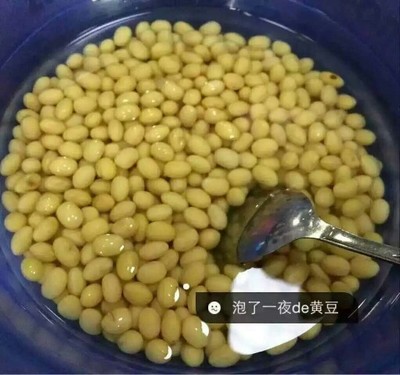 黄豆要泡多久才能做豆浆