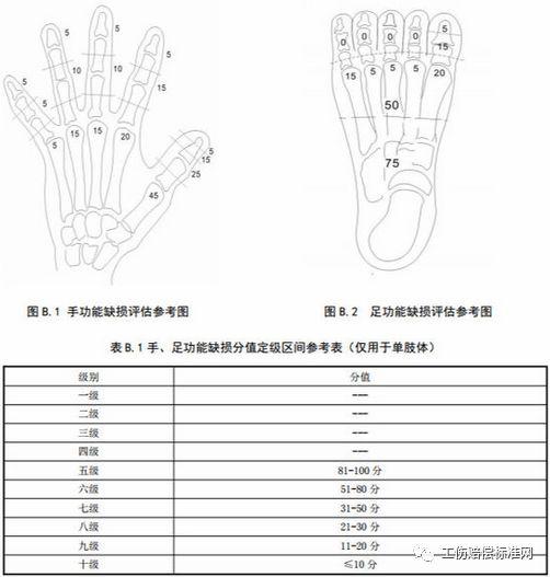 手指缺失伤残等级