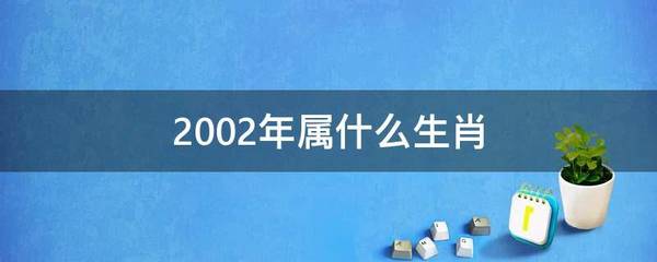 2002年属什么生肖几岁