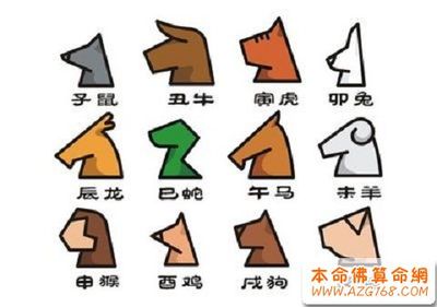 哪些生肖是女肖