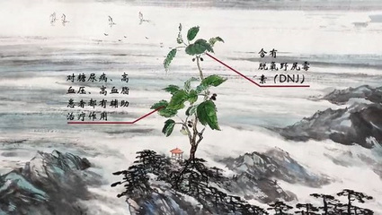 脑部腔梗怎么治疗