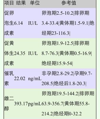 卵泡期 排卵期