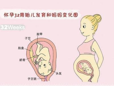 胎儿长头发