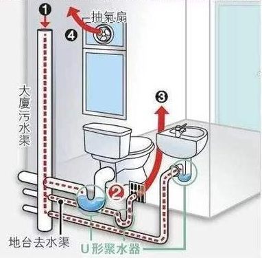 卫生间下水道结构图