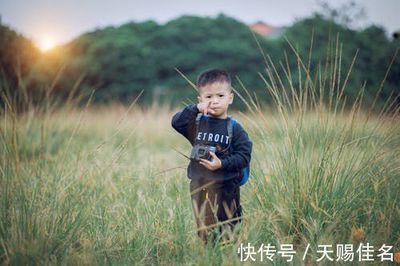 男孩带嘉字的名字大全
