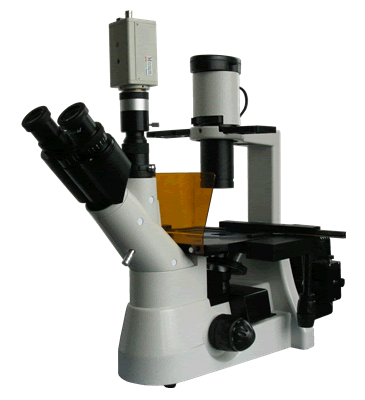 倒置荧光显微镜参数