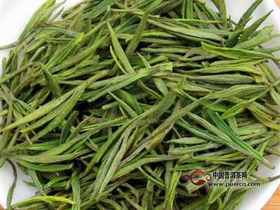 白茶鉴别