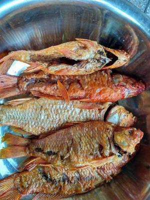 红鲤鱼做法大全家常