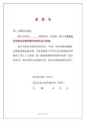 会计声明怎么写