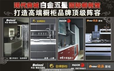 金牌橱柜 净水器