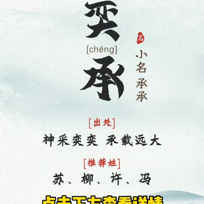姓卢起名