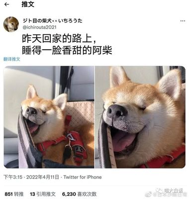梦见吃自己的屎