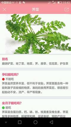 树菜孕妇可以吃吗