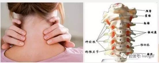 颈椎累是怎么回事儿